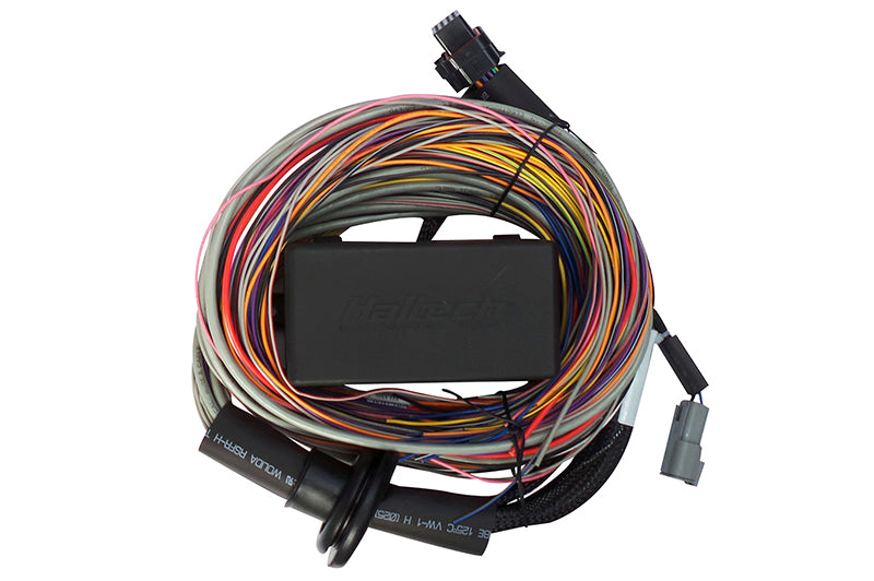 Elite 750 Premium Universal Wire-in Harness -  Length: 2.5m (8')