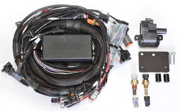 Elite 2500 Nissan RB30 Single Cam Fully Terminated Harness Only - Quickbitz