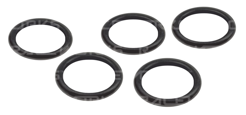 RACEWORKS E85 SAFE O-RINGS 5pk