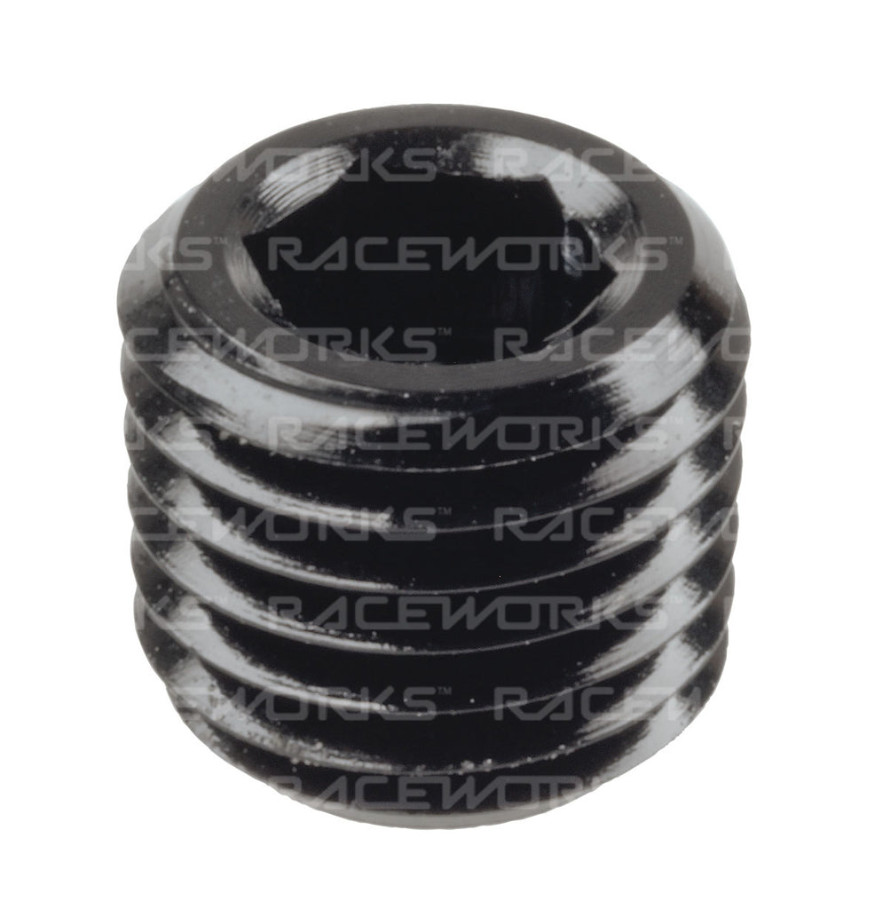 RACEWORKS NPT PLUG 1/16''