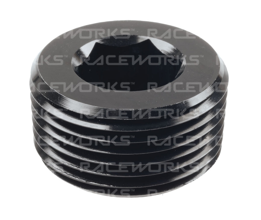 RACEWORKS NPT PLUG 1''