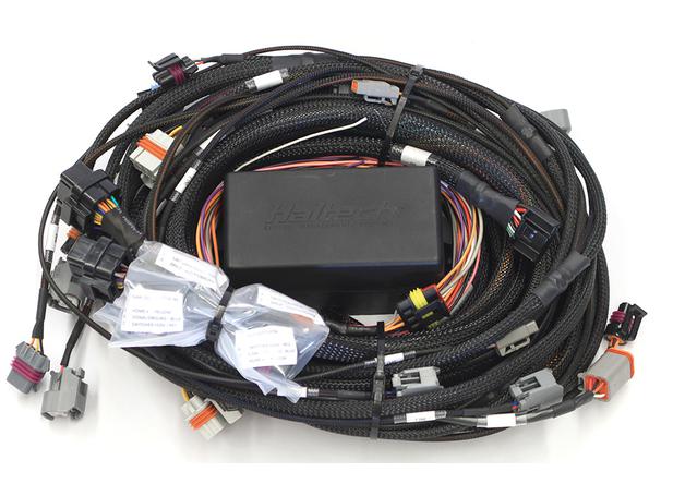 HALTECH Elite 2500 GM GEN IV LSx (LS2/LS3 etc) DBW Ready Terminated Harness Only