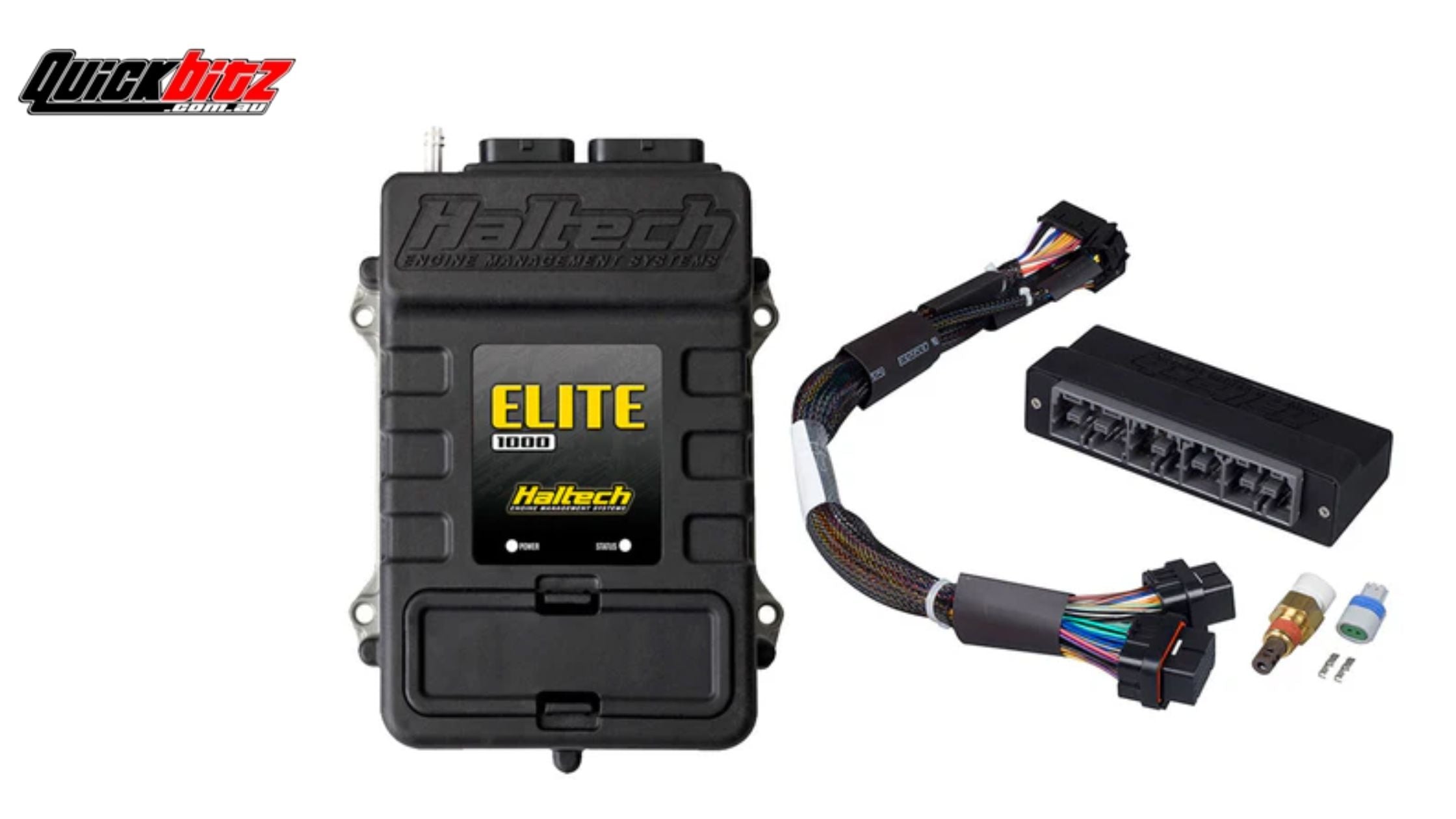 Which Cars Are Compatible With Haltech Plug-In ECUs?