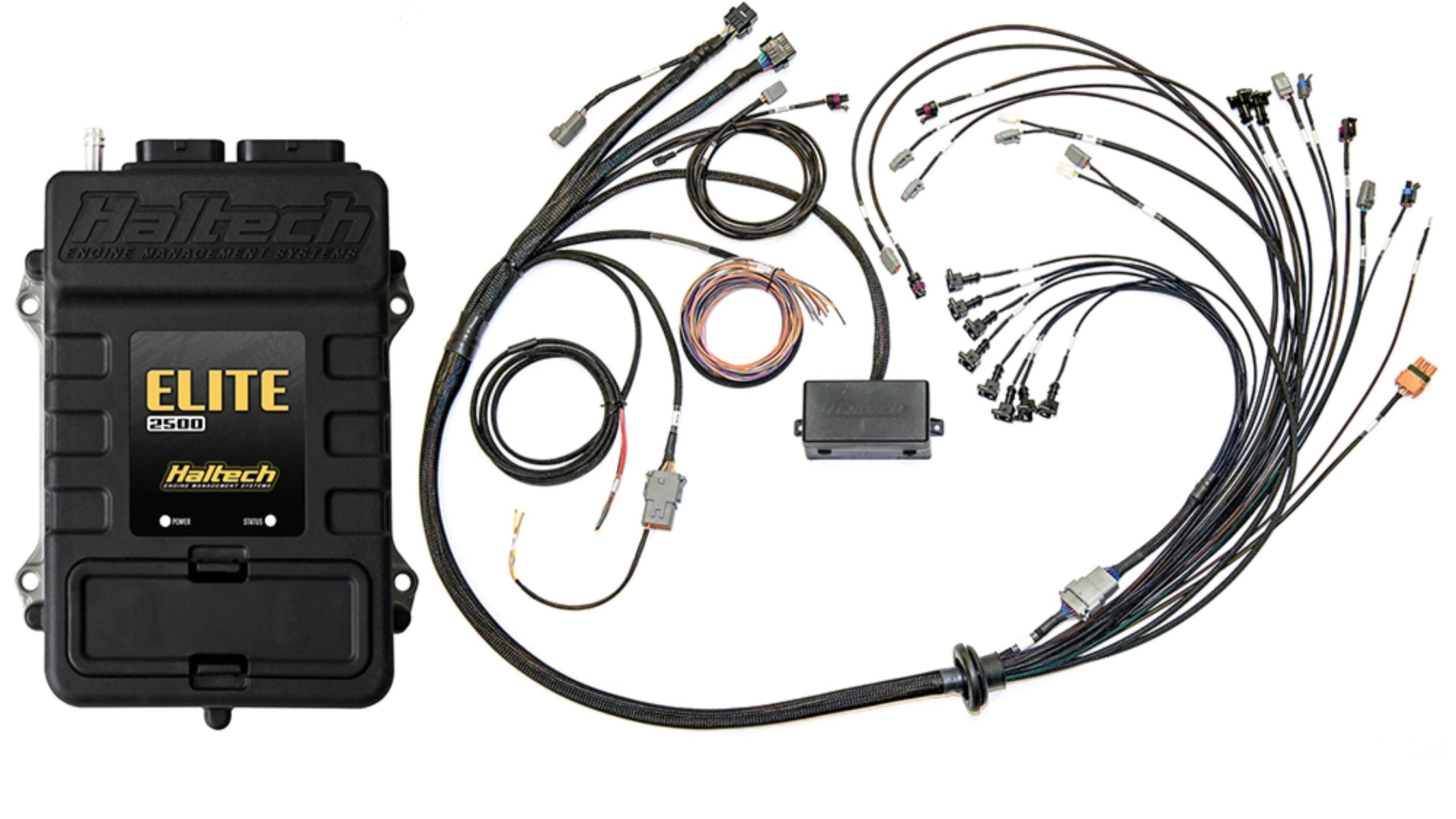 Can You Buy a Haltech ECU With a Terminated Engine Harness?