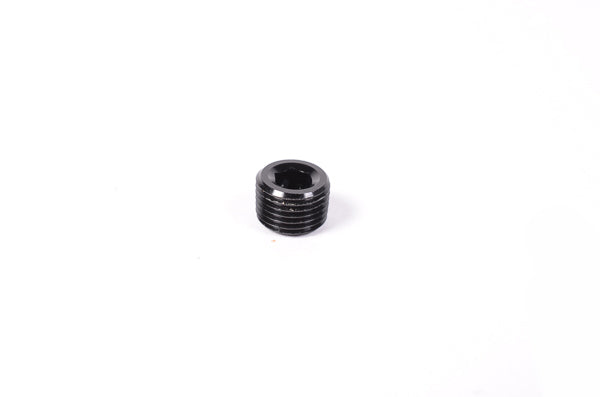 Radium 1/8" NPT Round Internal Hex Plug