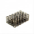 Ford Barra XR6 Spring Kit