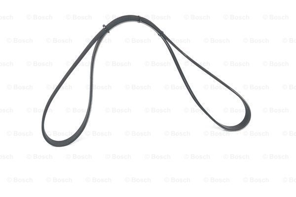 Drive belt - 5PK725