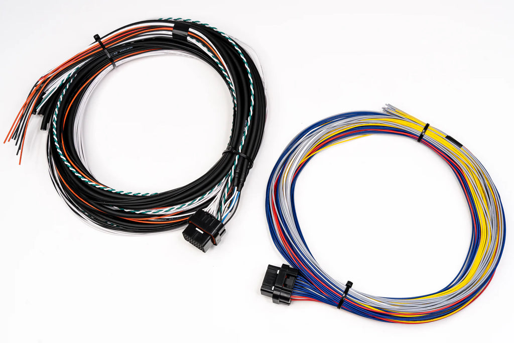 Shadow 8 ECU Wiring Harness