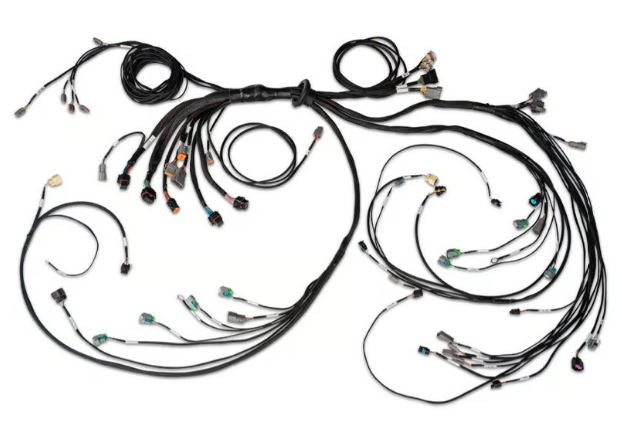 Nexus R5 LSx DBW Terminated Harness - DBW ready