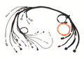 HT-186401 Nexus R3 + Nexus S3 Nissan RB 25/26/30 Terminated Harness