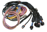 NEXUS R5 + Universal Wire-in Harness Kit - 5M / 16'