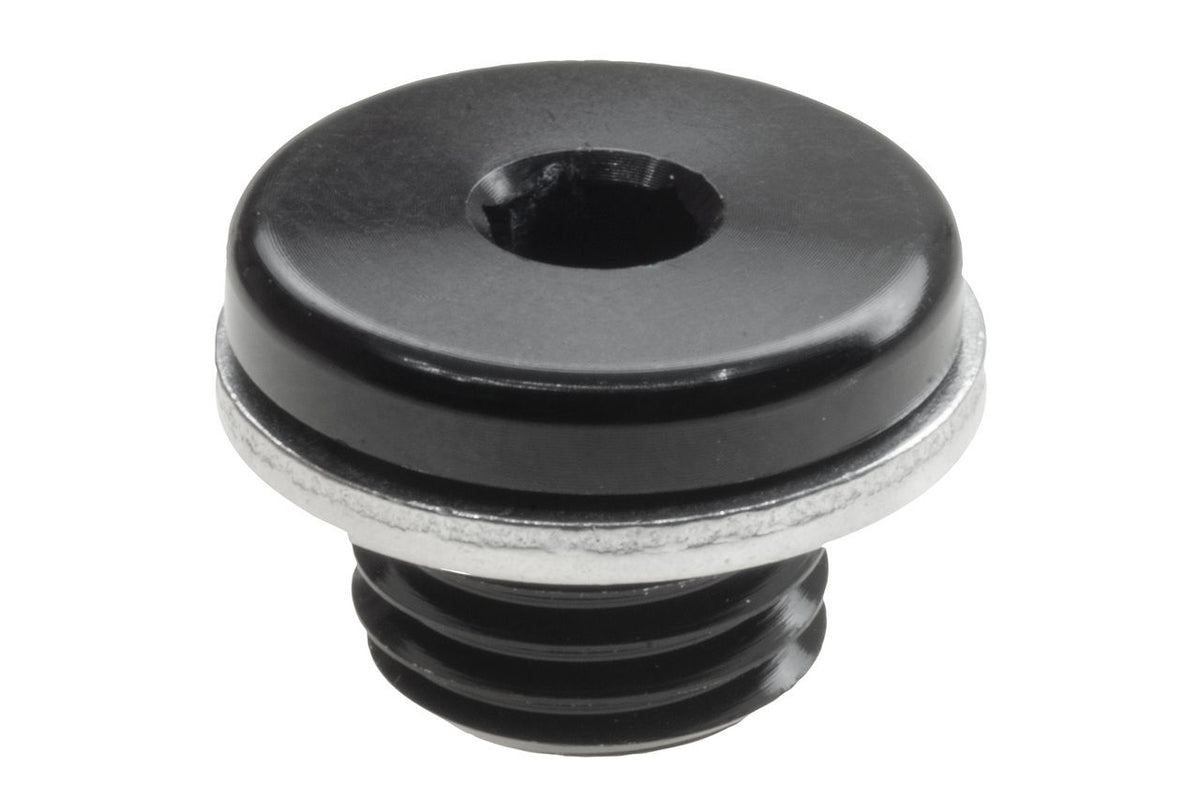 M10x1.0 IN HEX PLUG WITH WASHER