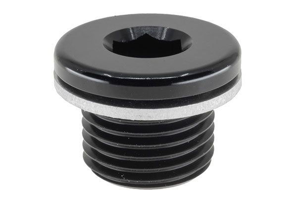 M16x1.5 IN HEX PLUG WITH WASHER