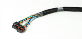 Ford Godzilla to Shadow 8 Terminated Harness