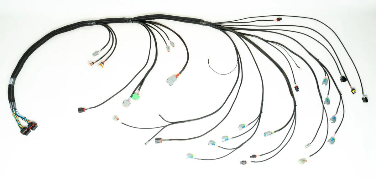 Ford Godzilla to Shadow 8 Terminated Harness
