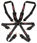 BLACK 6POINT CAM LOCK HARNESS