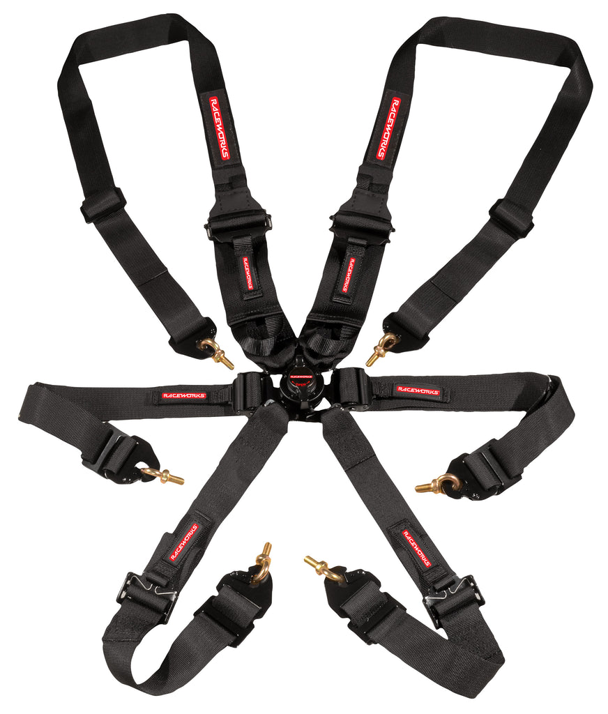 BLACK 6POINT CAM LOCK HARNESS