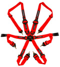 RED 6POINT CAM LOCK HARNESS