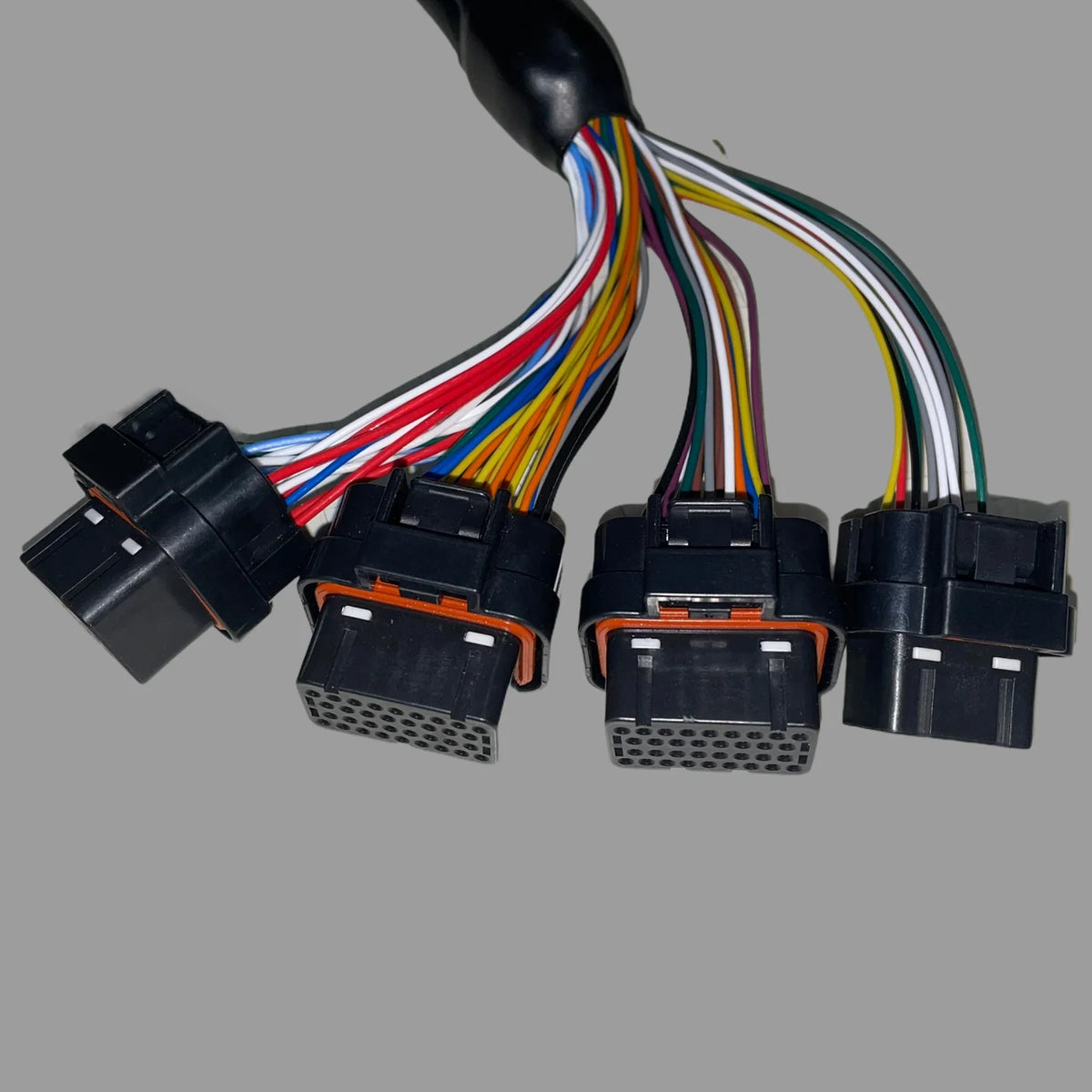 GM LS3 to KV Motorsports Terminated Harness