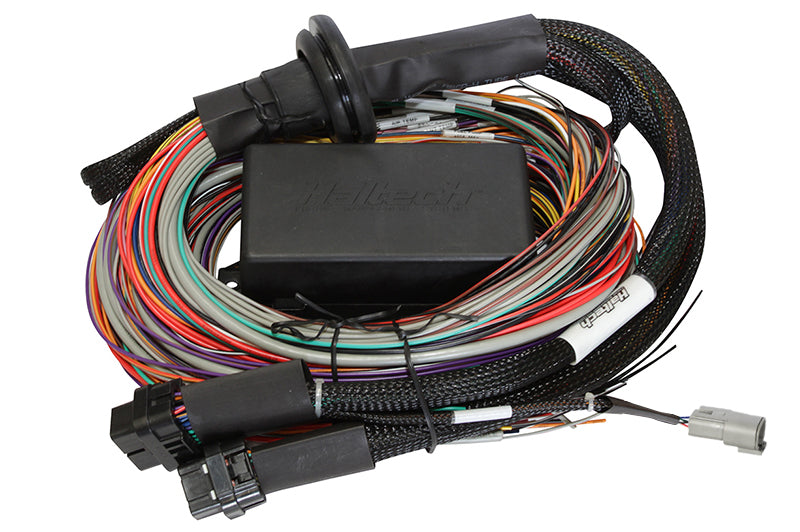 Elite 1500 Premium Universal Wire-in Harness - Length: 2.5m (8')