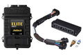 Elite 2500 + Toyota Chaser JZX100 (1JZ-GTE) Plug 'n' Play Adaptor Harness Kit