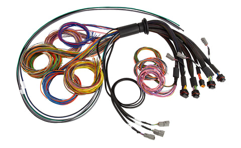 NEXUS R5 Basic Universal Wire-In Harness 2.5 Metre Length