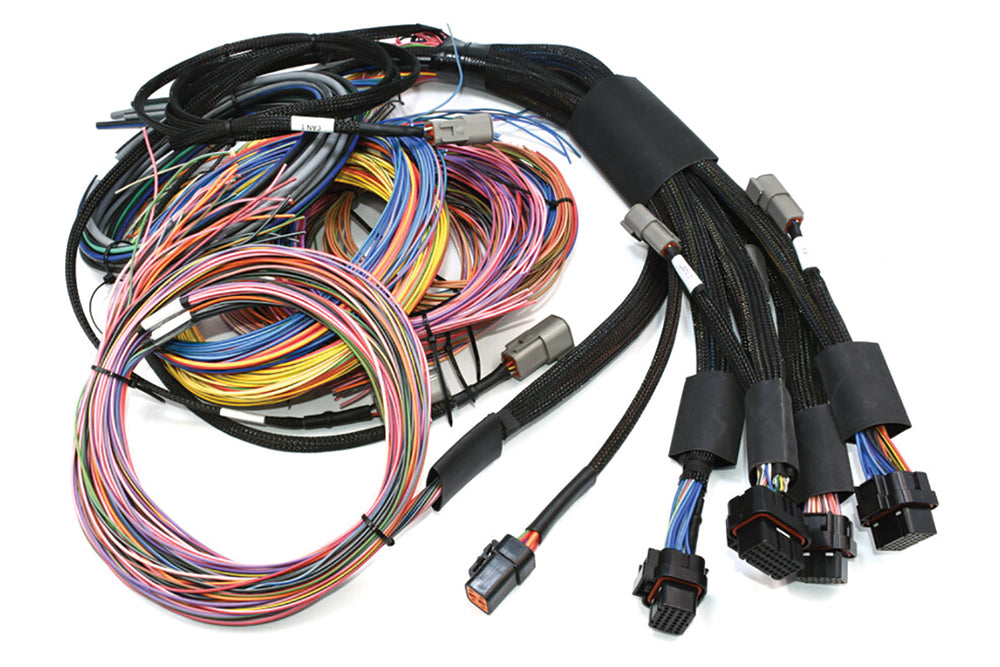 NEXUS R5 + Universal Wire-in Harness Kit - Length: 2.5m (8')