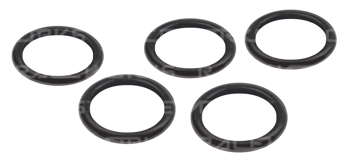 RACEWORKS E85 SAFE O-RINGS 5pk