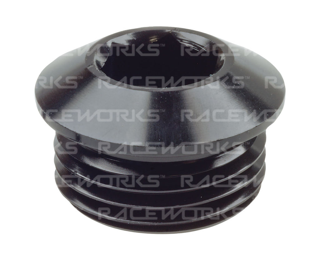 RACEWORKS AN IN HEX O-RING PLUG AN-3