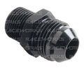 RACEWORKS MALE FLARE AN-8 TO MALE BSPP 1/2''