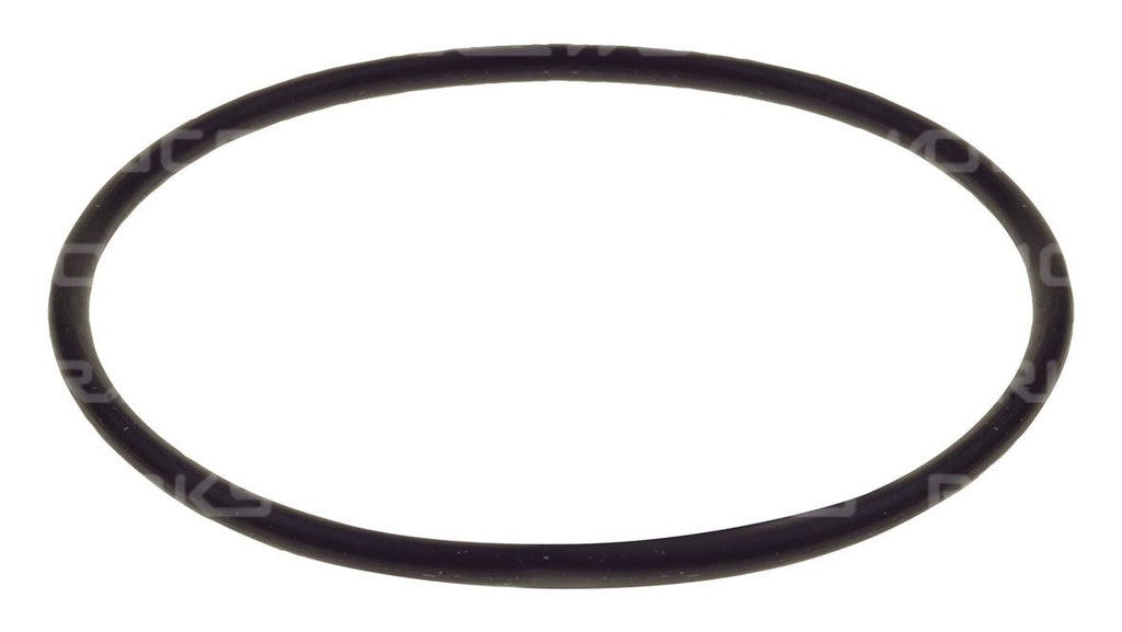 REPLACEMENT O-RING FOR RACEWORKS FUEL FILTERS