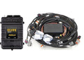 Elite 2500 + GM GEN IV LSx (LS2/LS3 etc) DBW Ready Terminated Harness Kit - Quickbitz